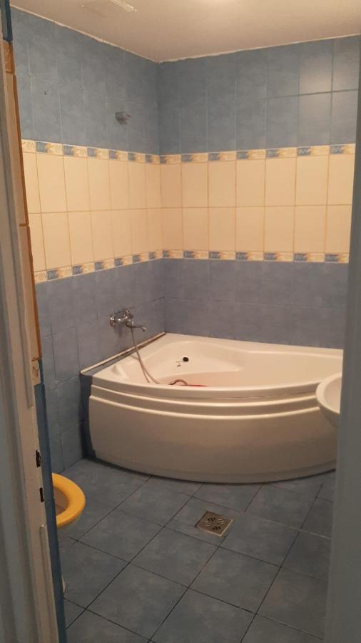 The Historical Family House-Cluj Napoca Center Apartment Екстериор снимка