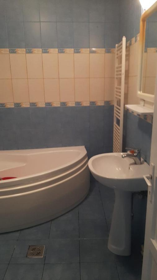 The Historical Family House-Cluj Napoca Center Apartment Екстериор снимка